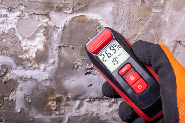 Best Attic Mold Removal  in Milford, NJ