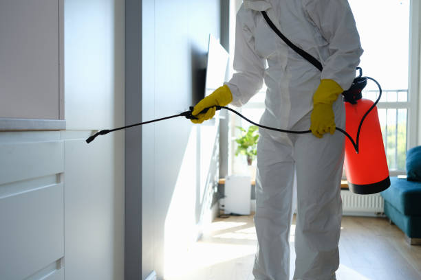 Best Mold Removal Process  in Milford, NJ
