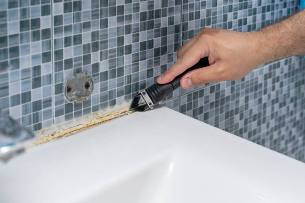 Best Office Mold Removal Services  in Milford, NJ