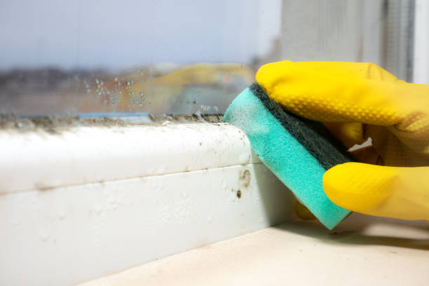 Water Damage Restoration in Milford, NJ