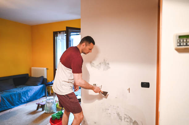 Best Water Damage Restoration  in Milford, NJ