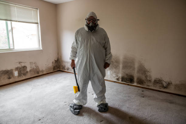Mold Testing and Removal in Milford, NJ