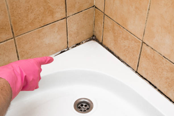 Best Certified Mold Removal  in Milford, NJ